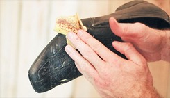 Tổng hợp cách bảo quản giày da nam